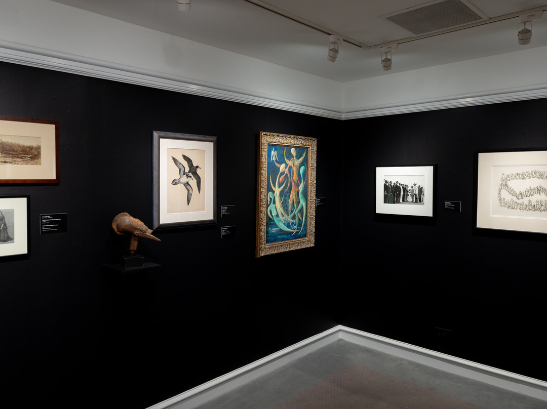 Bermuda National Gallery-汉密尔顿必去景点