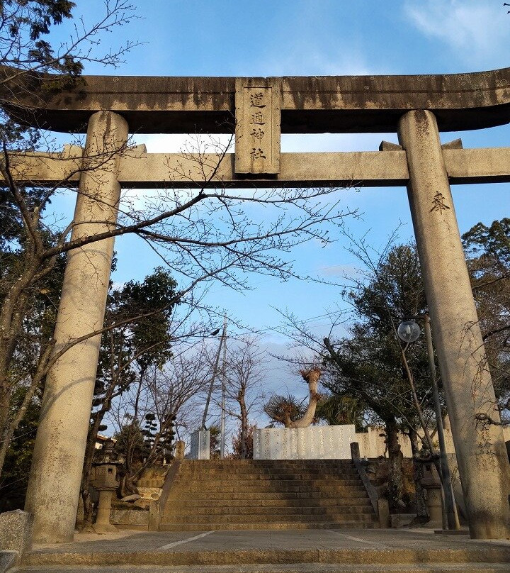 Dotsu Shrine-笠冈市必去景点