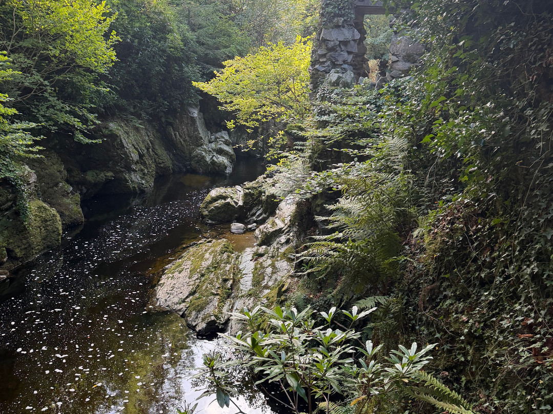 Tollymore Forest Park-纽卡斯尔必去景点