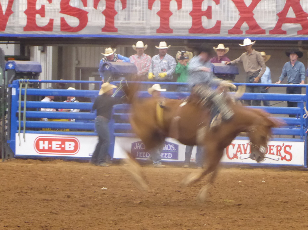 West Texas rodeo and Fair Abilene-阿比林必去景点