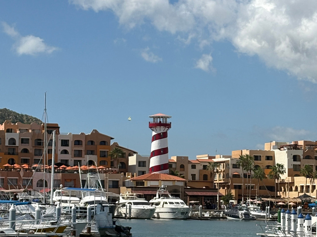 Cabo Adventures - Luxury Sailing Adventure-卡波圣卢卡斯必去景点