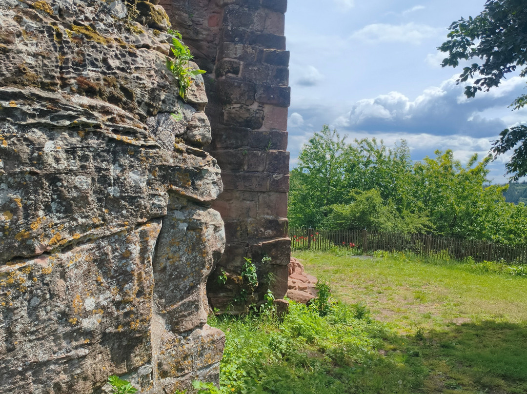Burg Hohenecken-凯撒斯劳滕必去景点