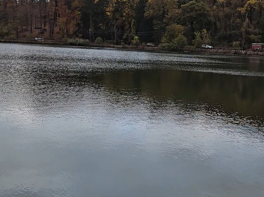 Tarrytown Lakes Park-塔里敦必去景点