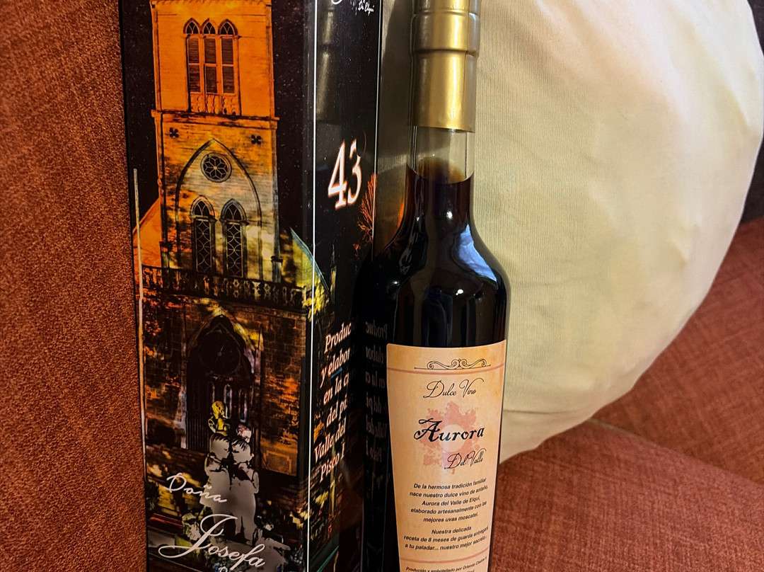 Doña Josefa de Elqui - Pisco Artesanal-Pisco Elqui必去景点