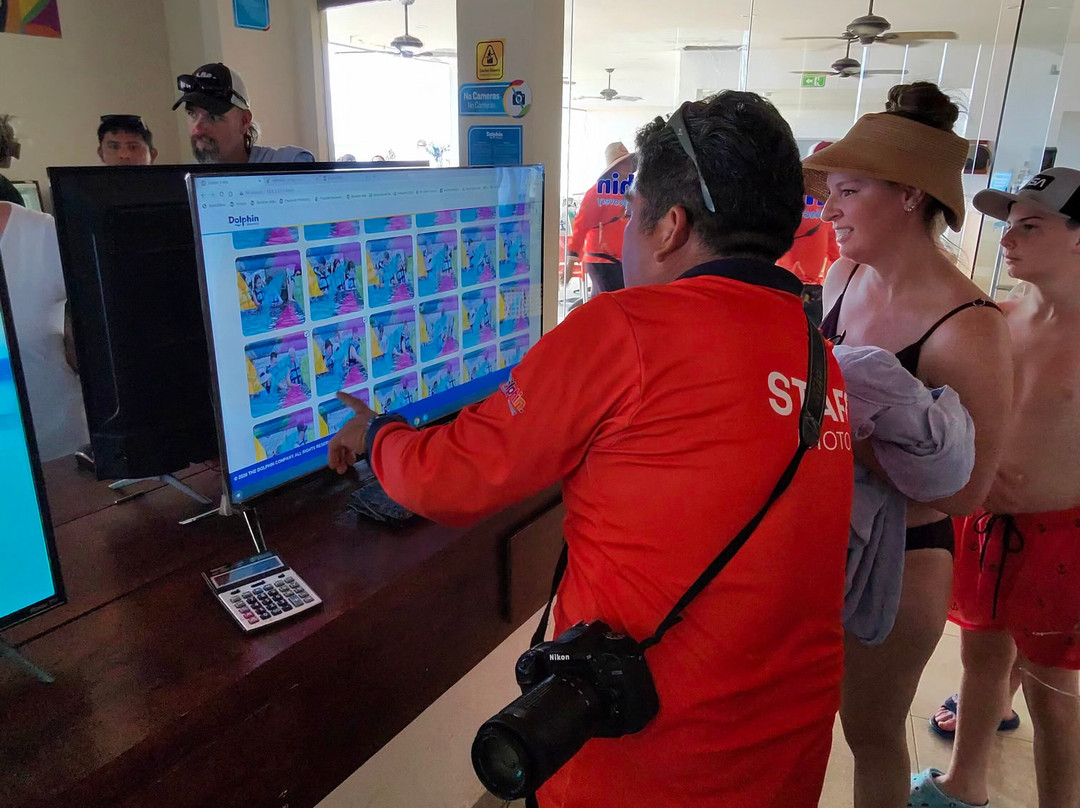 Dolphin Discovery Cozumel-考祖梅必去景点