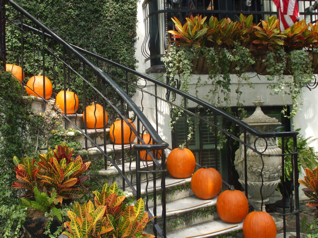 Ballastone Inn主图