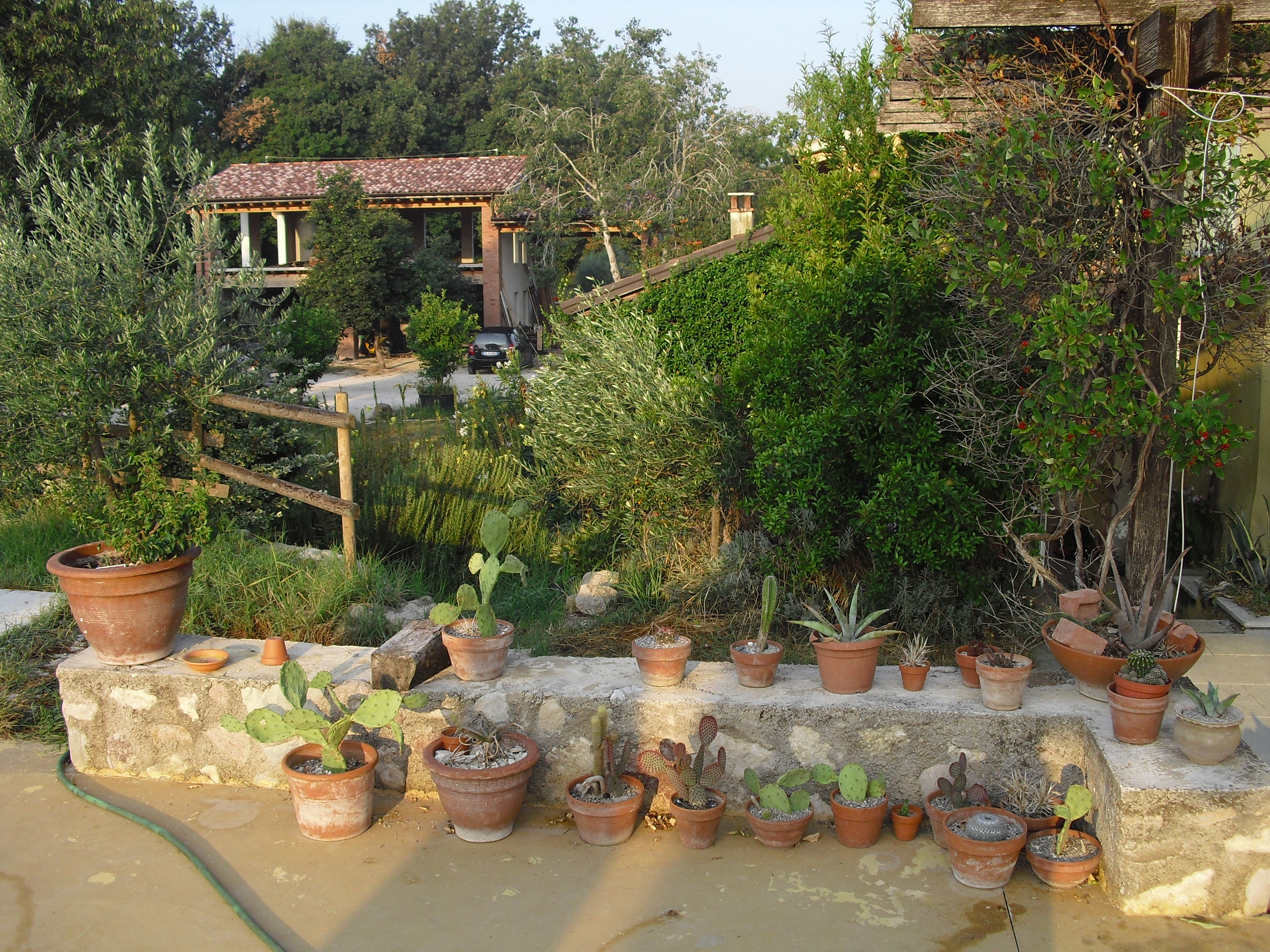 Agriturismo La Casa del Mandorlo-酒店景观