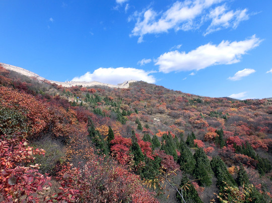 八达岭国家森林公园-北京市必去景点