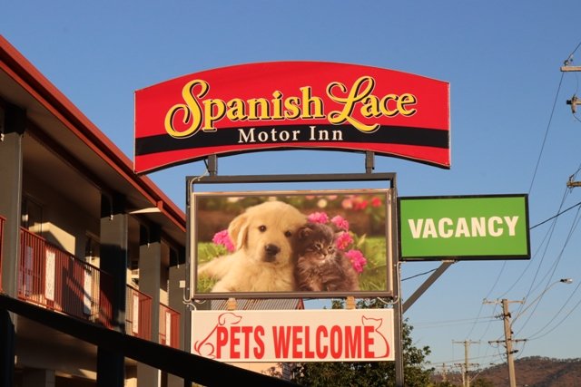 Spanish Lace Motor Inn-官方