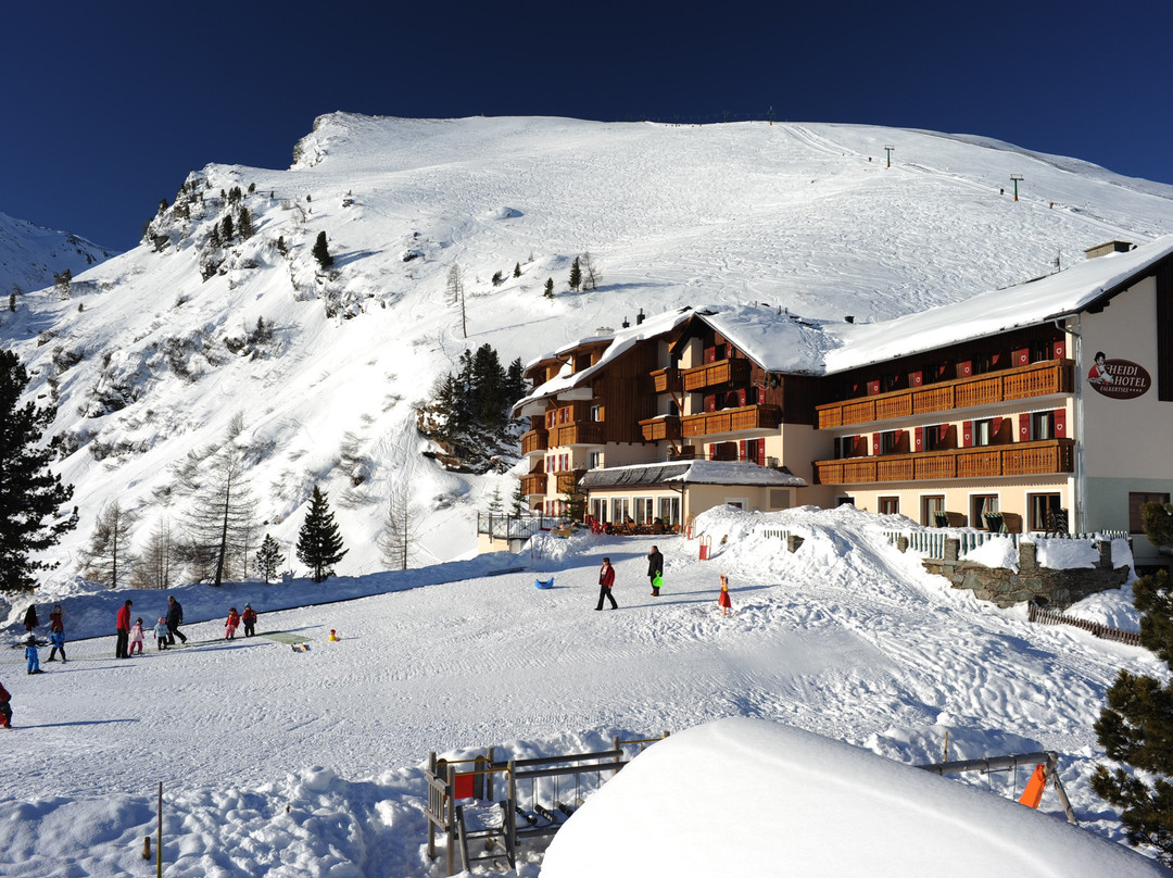 Patergassen酒店住宿-Heidi-Hotel Falkertsee