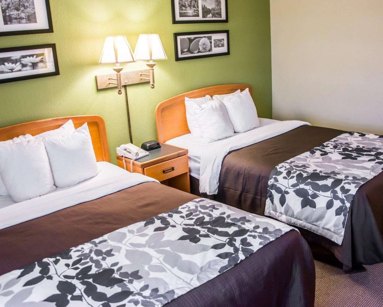Sleep Inn & Suites-官方