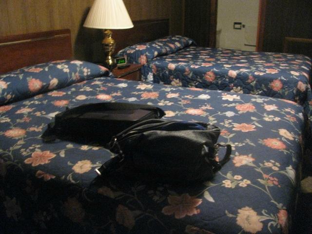 Casale's Tavern & Motel-客卧