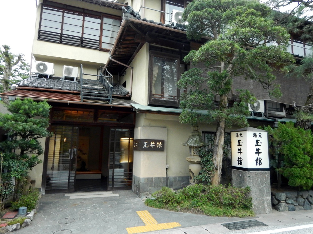 Tamaikan