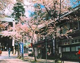 揖斐川町酒店住宿-Tachibanaya