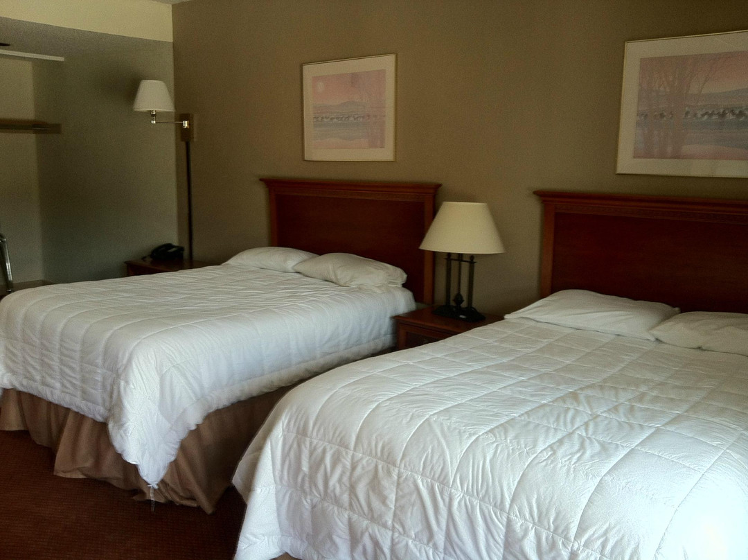 菲布丽套房酒店