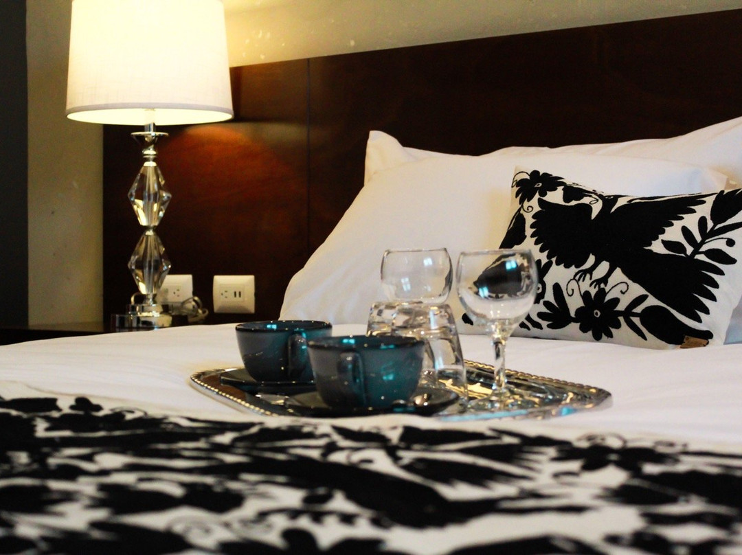 Zacatlan酒店住宿-Casa San Miguel Hotel Boutique y Spa