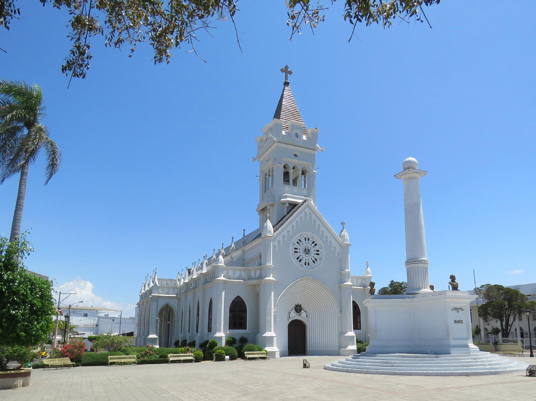 Catedral San Pedro Apostol景点图片