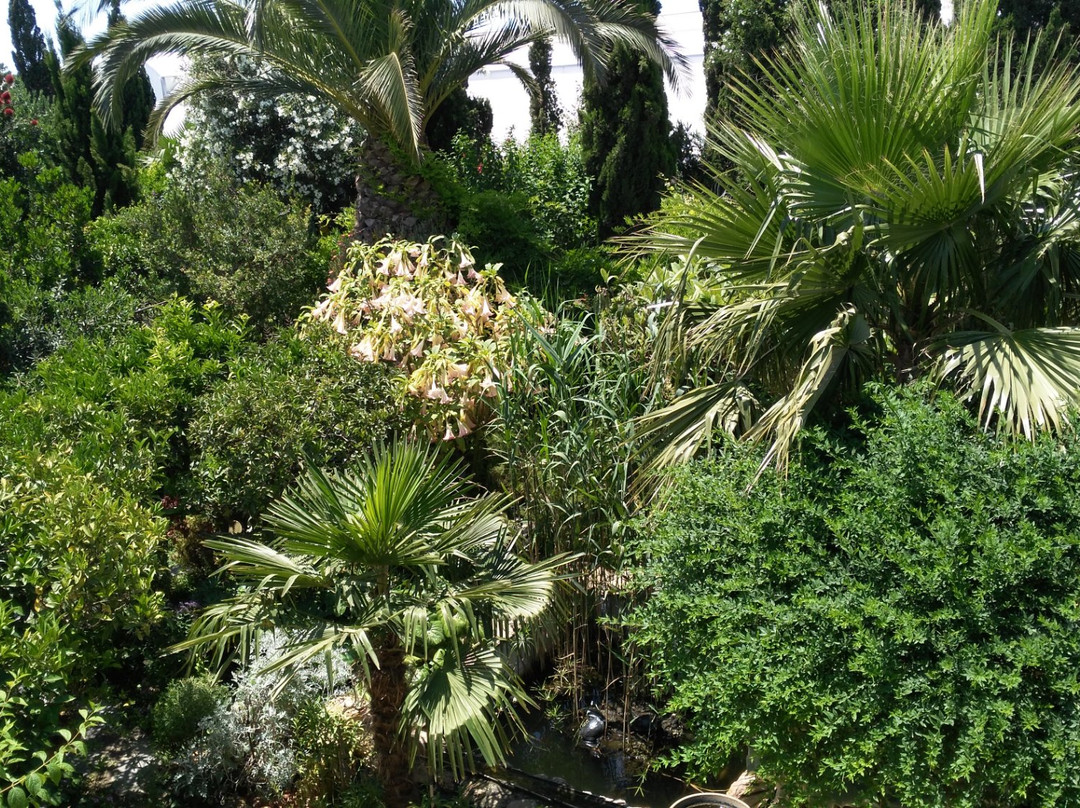 Jardin Botanico La Almunya del Sur景点图片