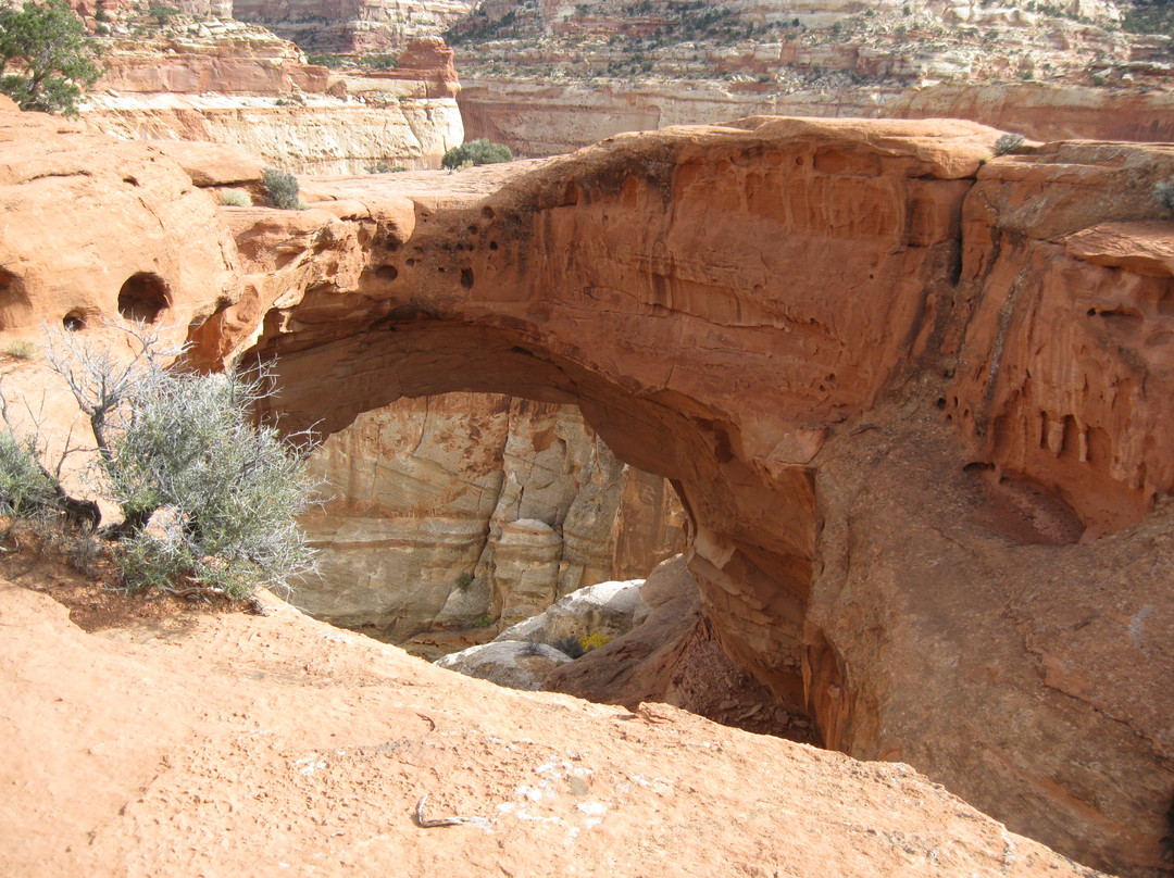 The Frying Pan Trail-圆顶礁国家公园必去景点