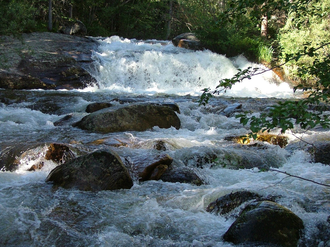 Allenspark旅游景点-Copeland Falls