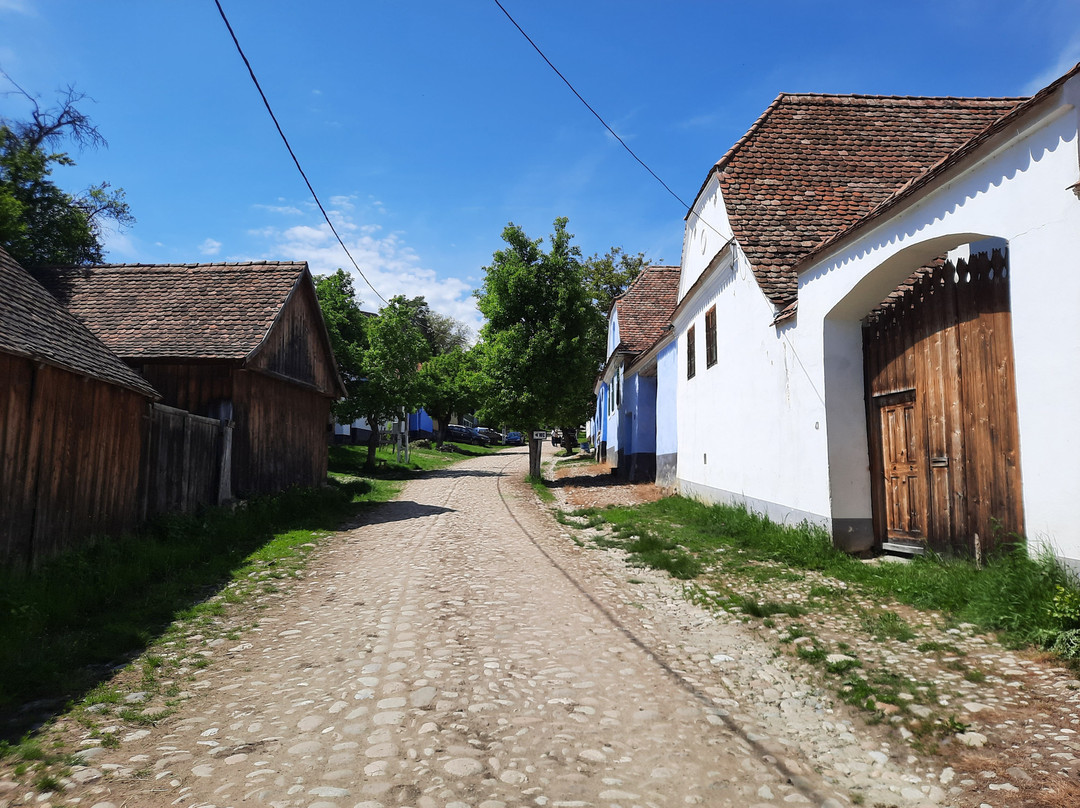 Village de Viscri景点图片