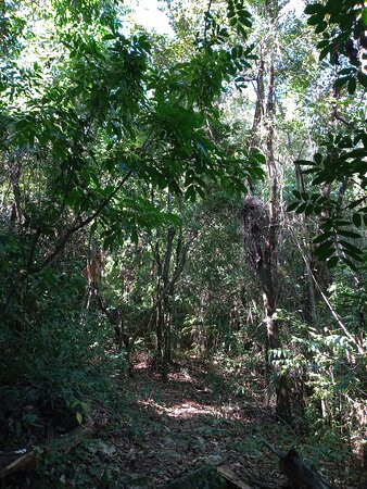 Mundão das Trilhas-Amparo必去景点