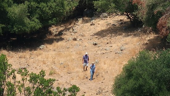 Big Juba in Ya'ar Odem-Odem必去景点