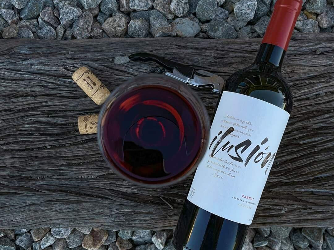 Fripp Viñedos Y Bodega-Conchillas必去景点