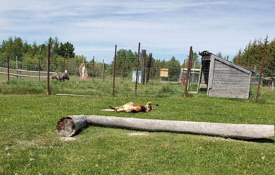Domaine Des Trois Vents-Val d'Or必去景点