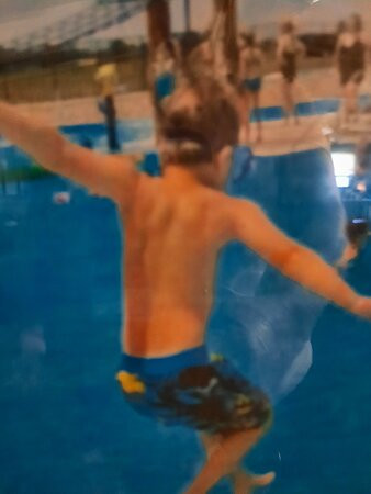 Aquatic Zoo-Mount Vernon必去景点