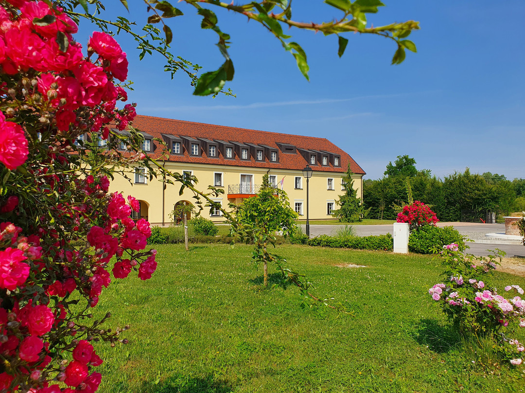 Hotel Dvorac Jurjevec主图