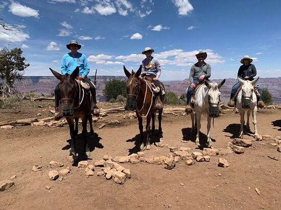 Grand Canyon Mule Tours by Xanterra景点图片