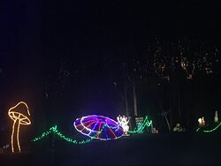 Yogi Bear's Jellystone Park景点图片
