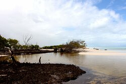 Tasman Venture - Day Tours-赫维湾必去景点