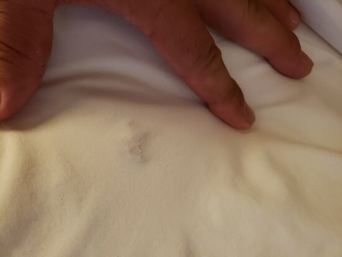 Blue Lake Casino Hotel主图