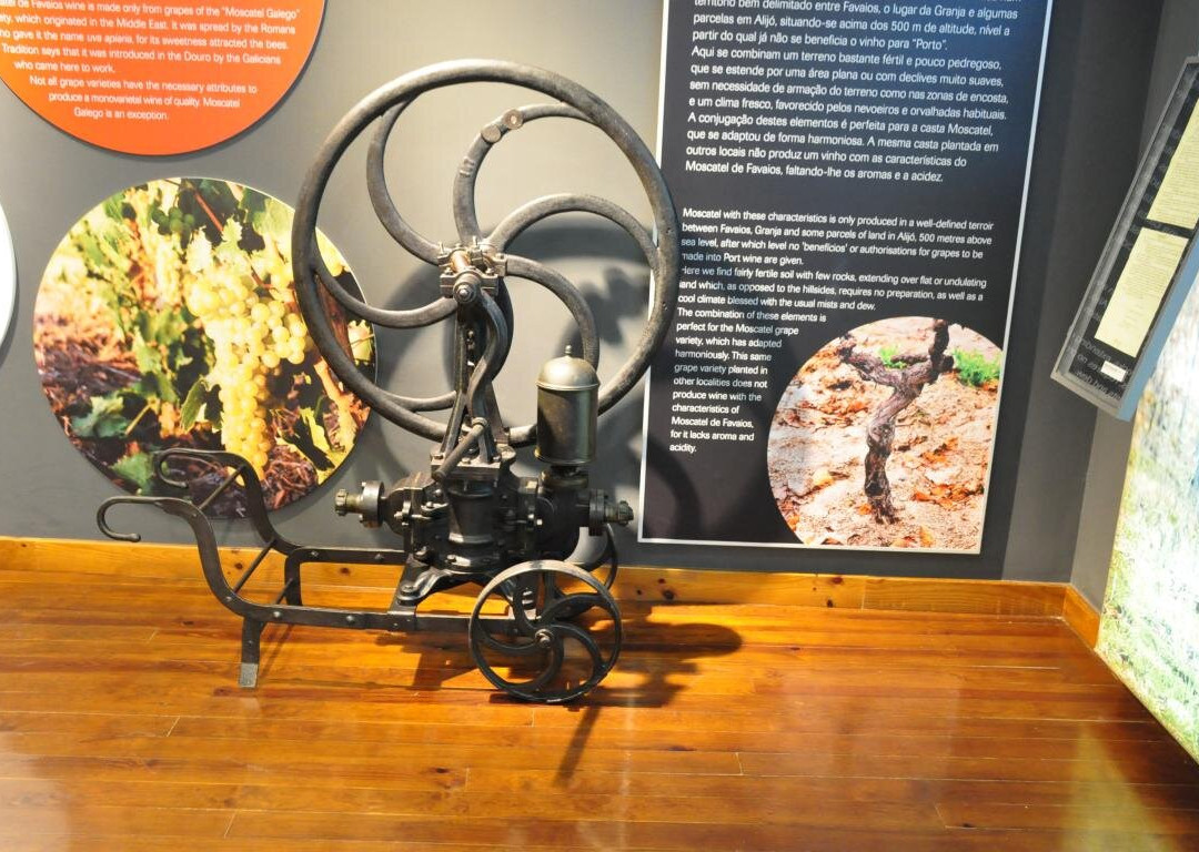 Nucleo Museologico Favaios, Pao e Vinho景点图片