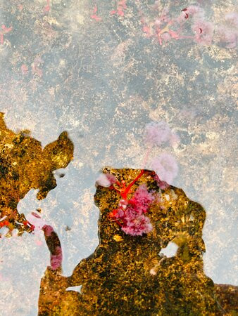 Cano Piedra-La Macarena必去景点