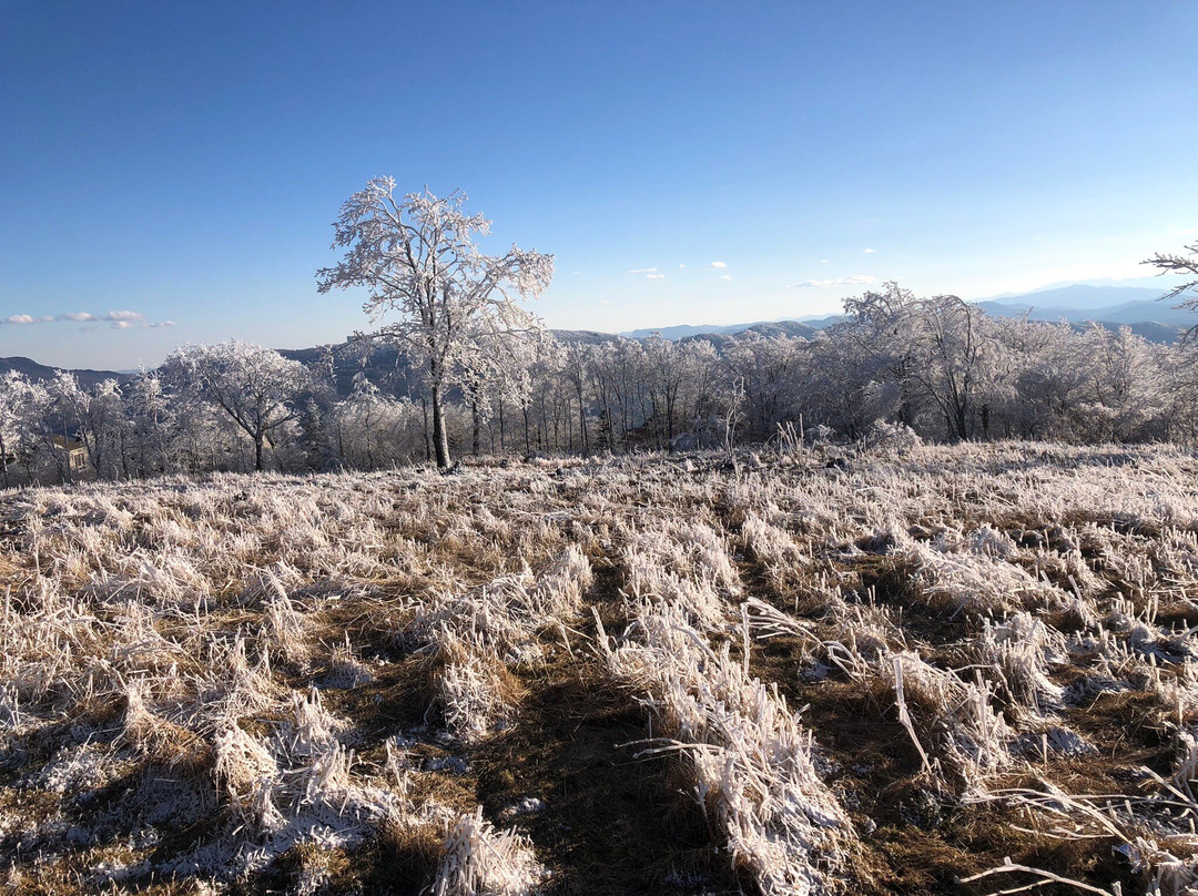 Beech Mountain Ski Resort景点图片