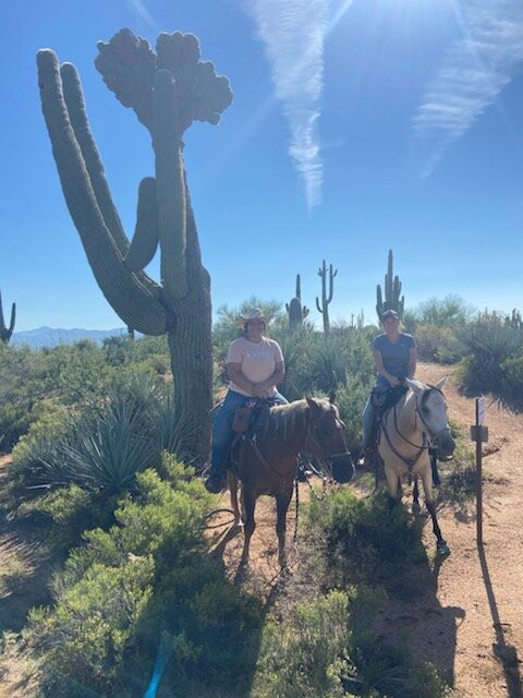 Wild West Horse Adventures-斯科茨代尔必去景点
