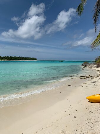 Club Kaafu Dhiffushi-泳池