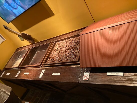 Kahkow Experience-圣多明哥必去景点