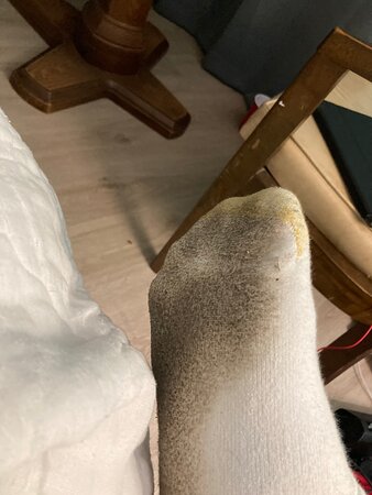 马杰斯提克丽晶酒店-客卧