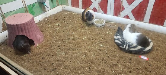 The Children's Museum-西哈特福德必去景点