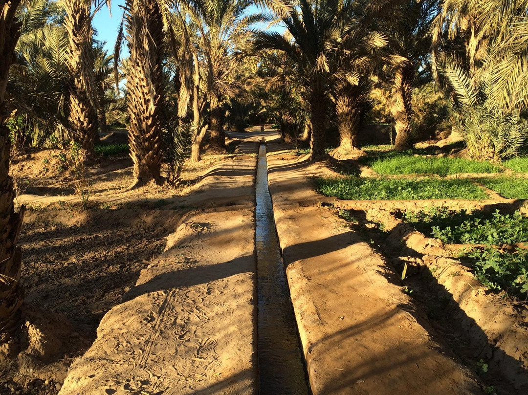 Morocco Sahara Excursions - Day Tours景点图片