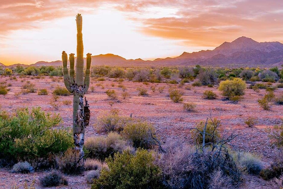 VoiceMap Audio Tours