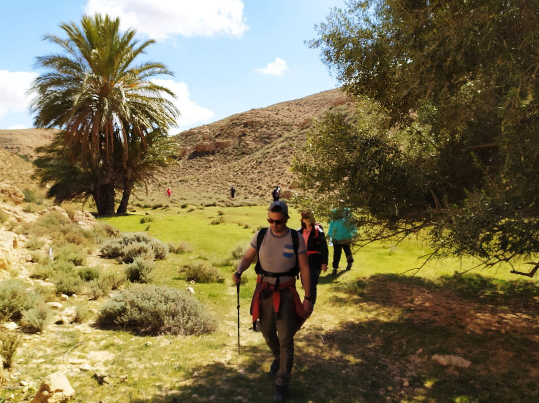 South Tunisia Adventures景点图片
