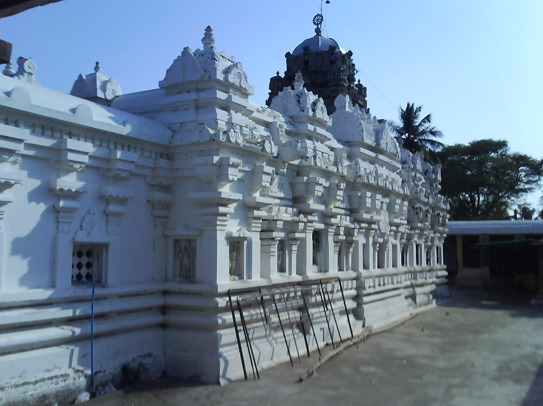Srikurmanatha Temple景点图片