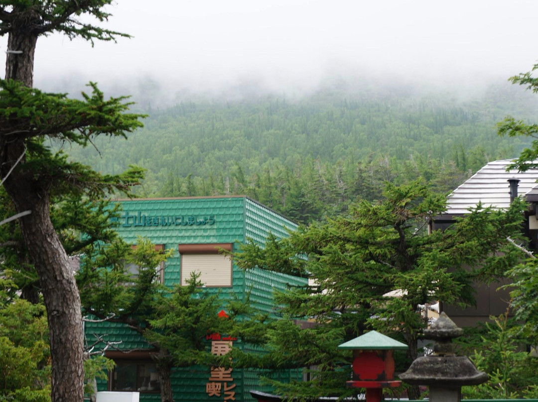 Yamanashi Prefectural Mt.Fuji 5th Station Center景点图片