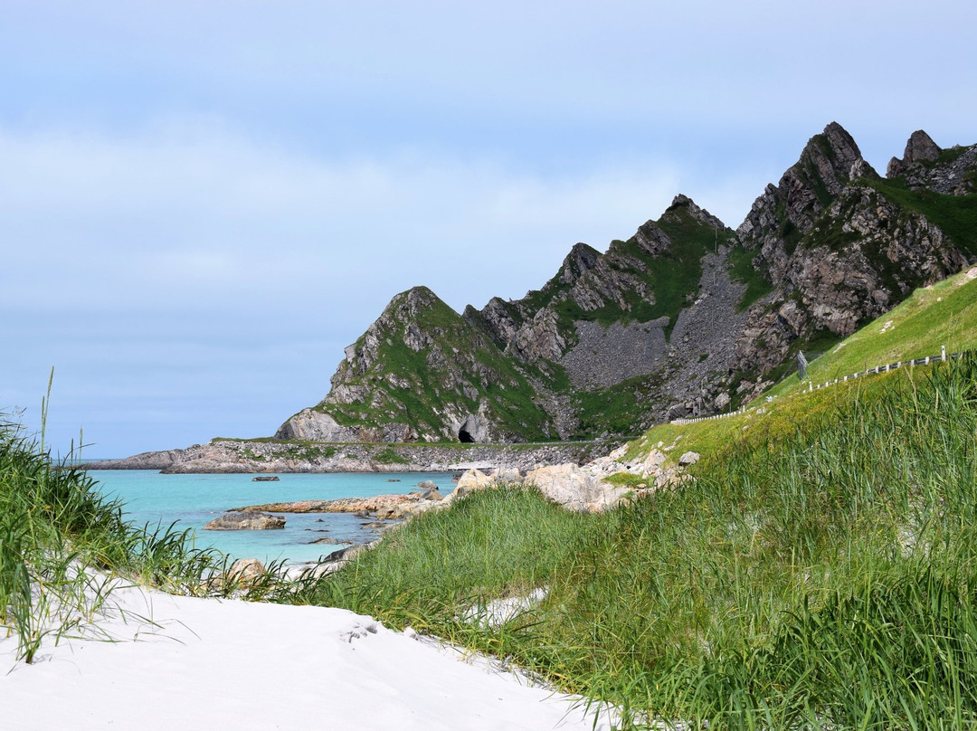 Experience Andøy景点图片