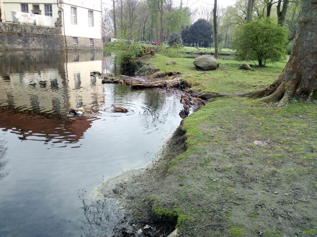 Herne旅游攻略图片